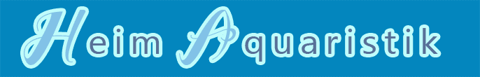 Die Top Testsieger - Suchen Sie auf dieser Seite die Aquarium glasbecken Ihrer Träume